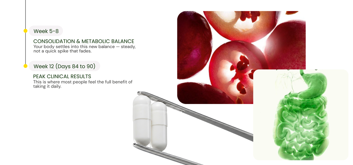 slider image slider_item_YjnFN3