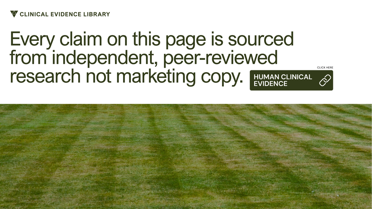 slider image slider_item_pLEYFV